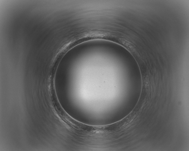 X0000056340352200509021701