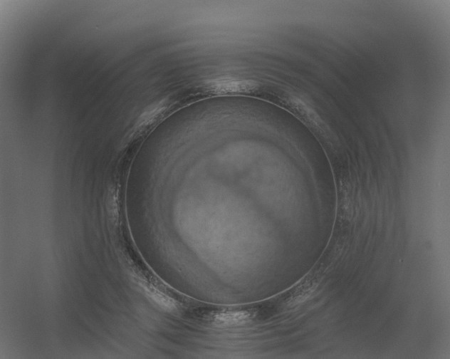 X0000056340357200509021701