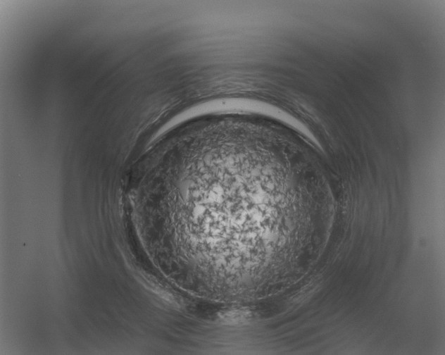 X0000056340362200509021702