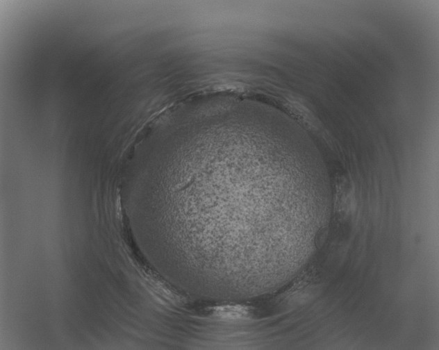 X0000056340363200509021702