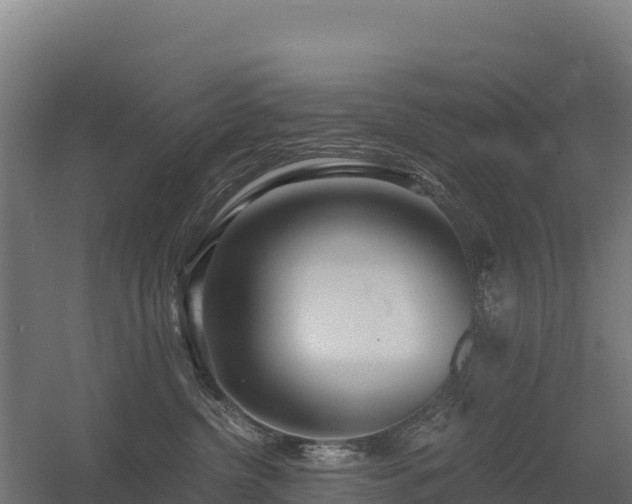 X0000056340380200509021702