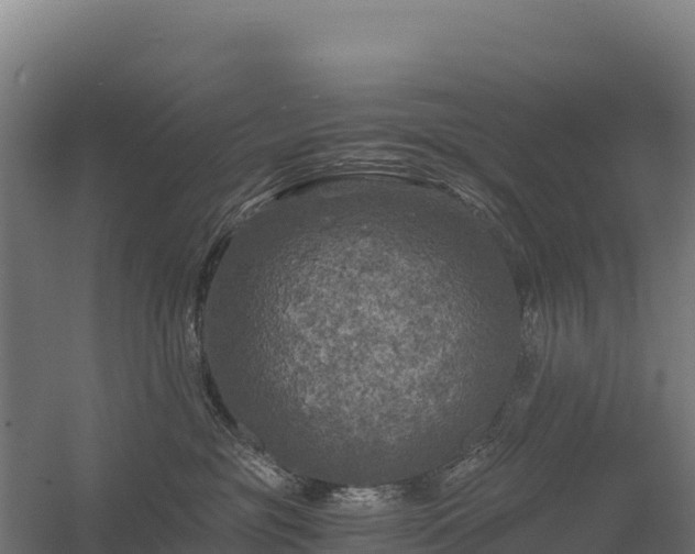 X0000056340381200509021702