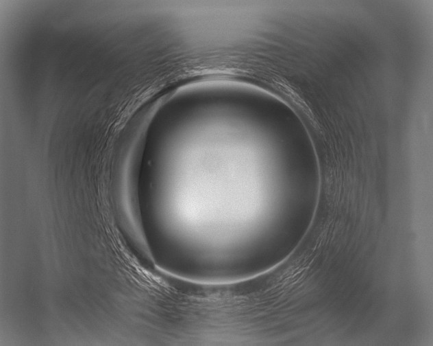X0000056340385200509021701