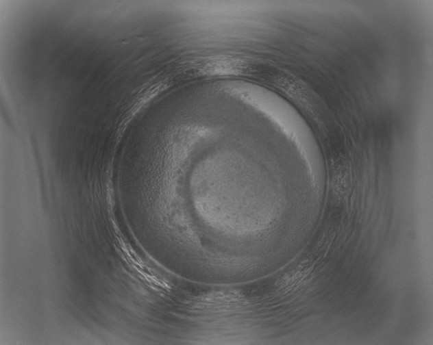 X0000056340386200509021701