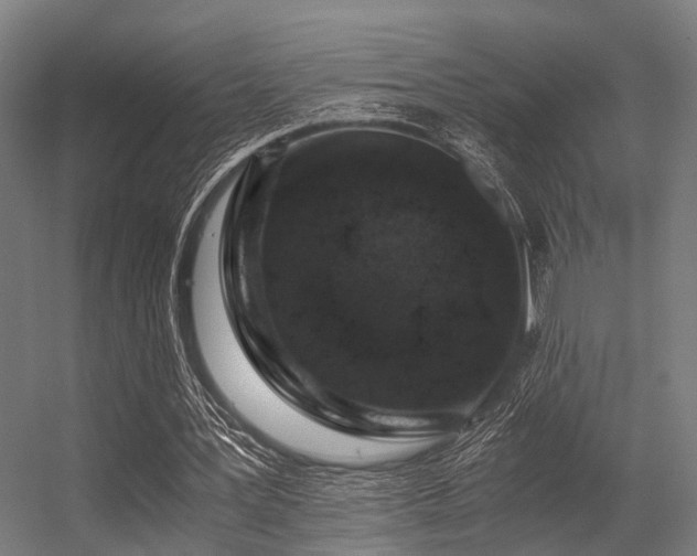 X0000056340387200509021701
