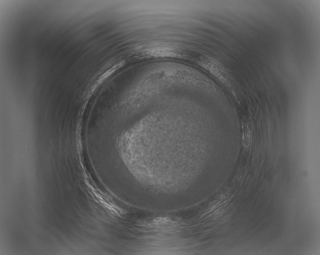 X0000056340390200509021701