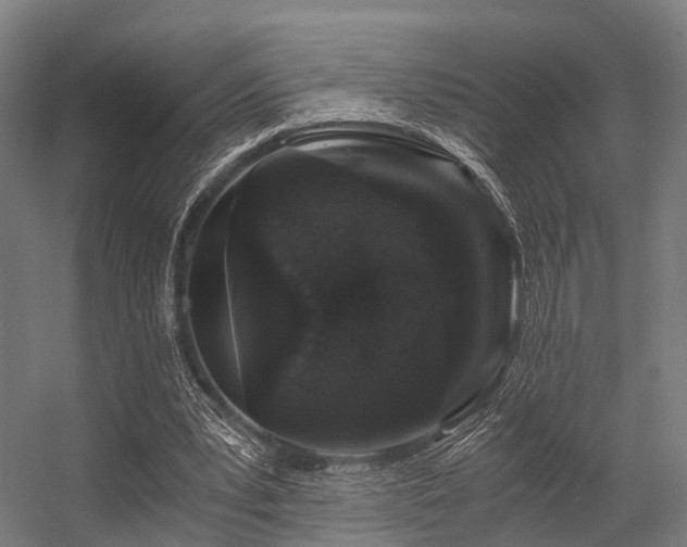 X0000056340391200509021701
