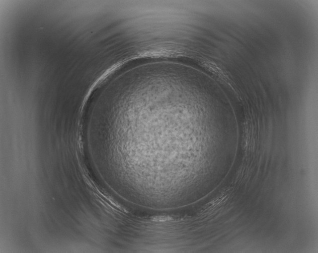 X0000056340392200509021701