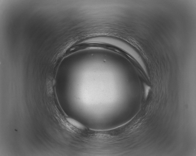 X0000056340393200509021701