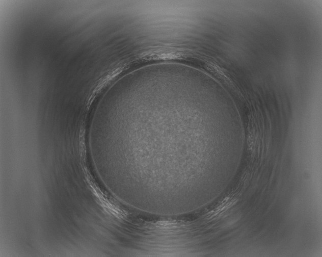 X0000056340394200509021701