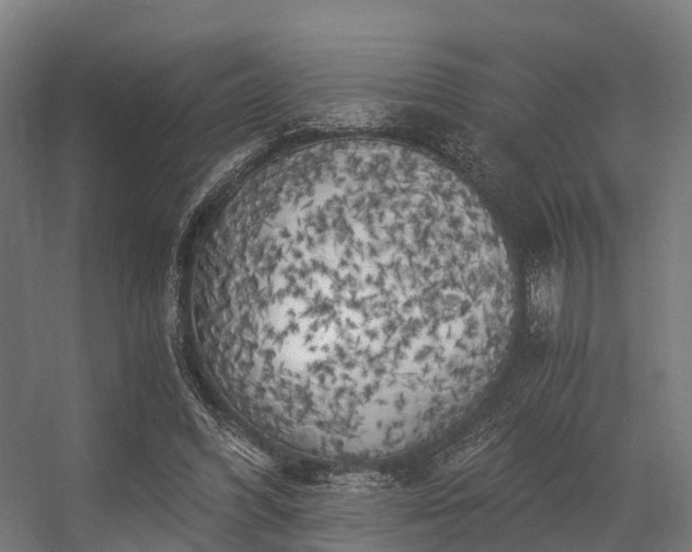 X0000056340396200509021701