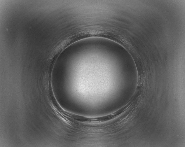 X0000056340397200509021701