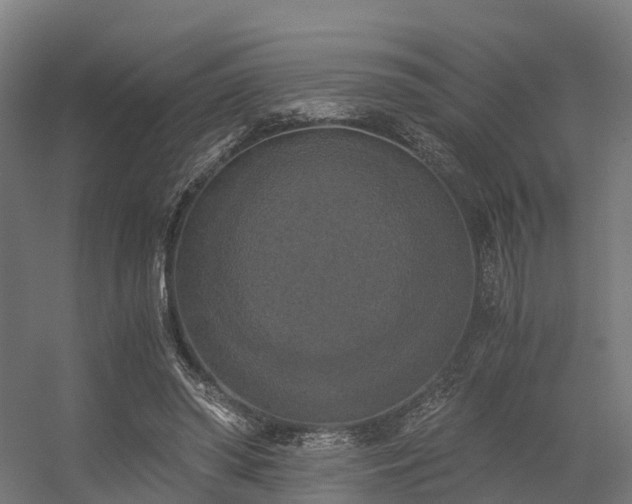 X0000056340398200509021701