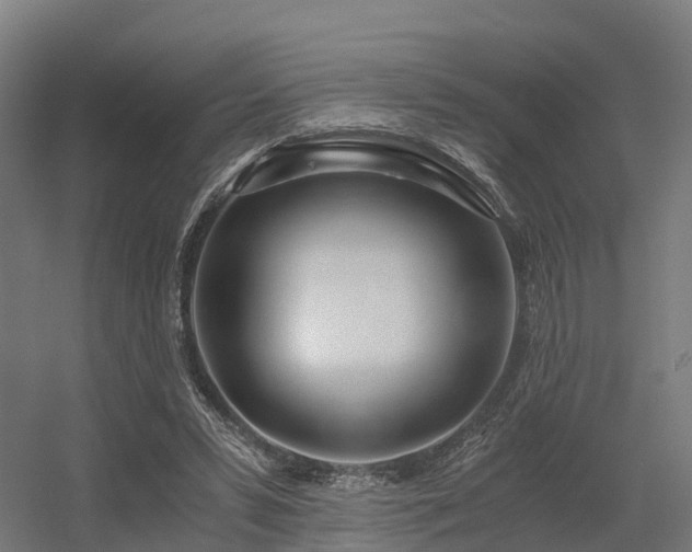 X0000056340399200509021701
