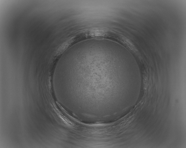 X0000056340401200509021701