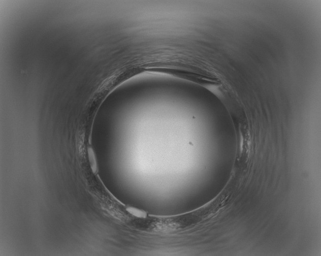 X0000056340403200509021701