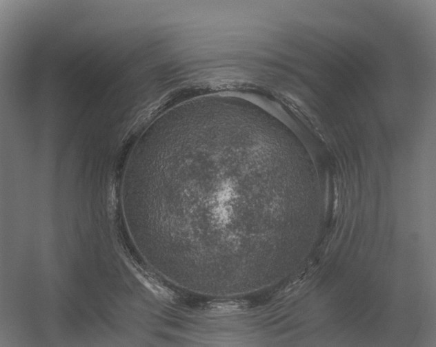 X0000056340405200509021701