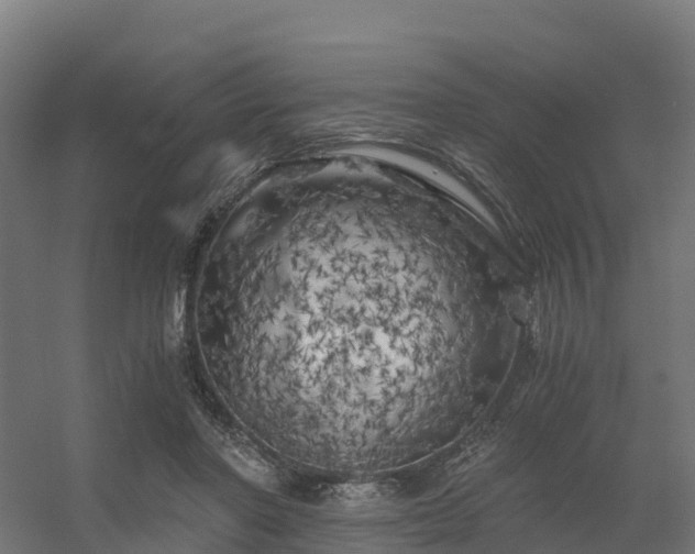 X0000056340406200509021701