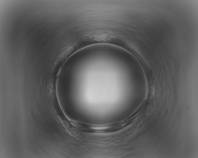 X0000056340407200509021701