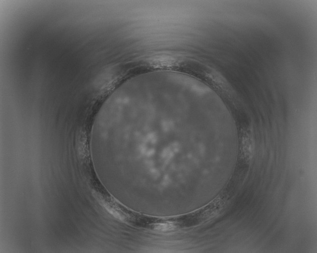 X0000056340411200509021701
