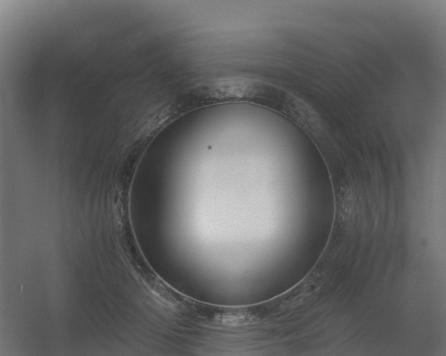X0000056340414200509021701