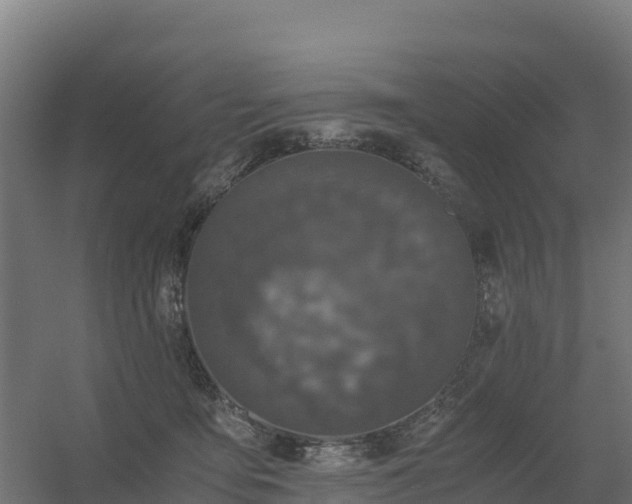 X0000056340419200509021700