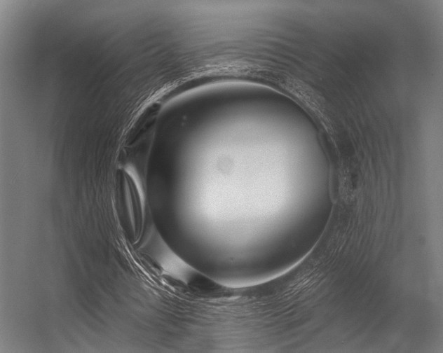 X0000056340434200509021659
