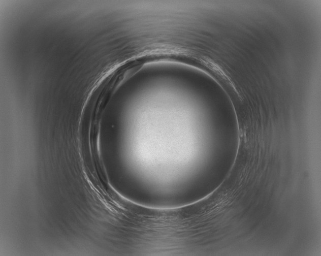 X0000056340436200509021659