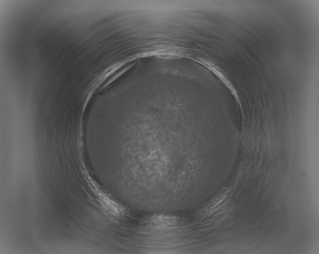 X0000056340437200509021700