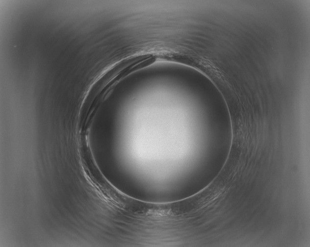 X0000056340440200509021700