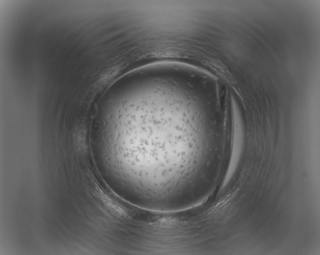 X0000056340441200509021700