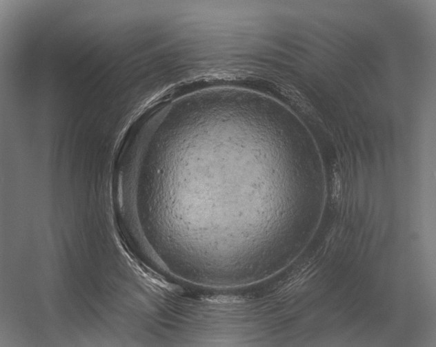 X0000056340444200509021700