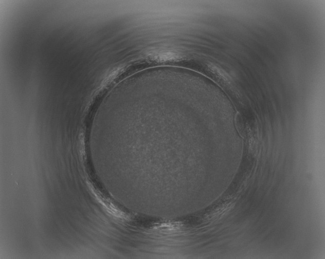X0000056340447200509021700