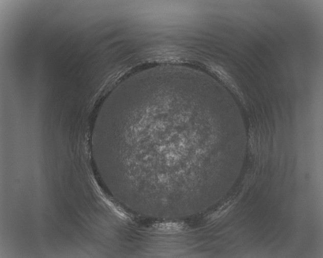X0000056340449200509021700