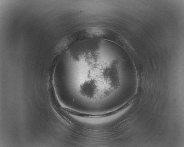 X0000056340451200509021700