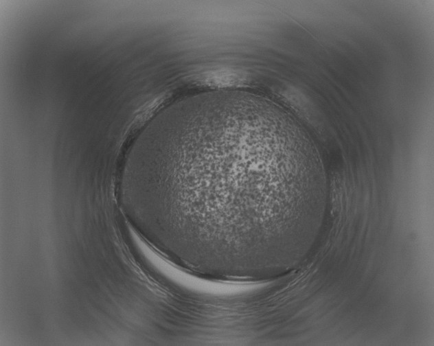 X0000056340453200509021700