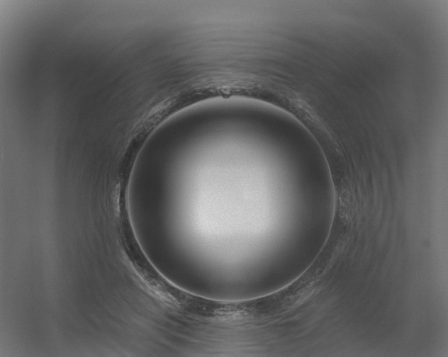 X0000056340454200509021700