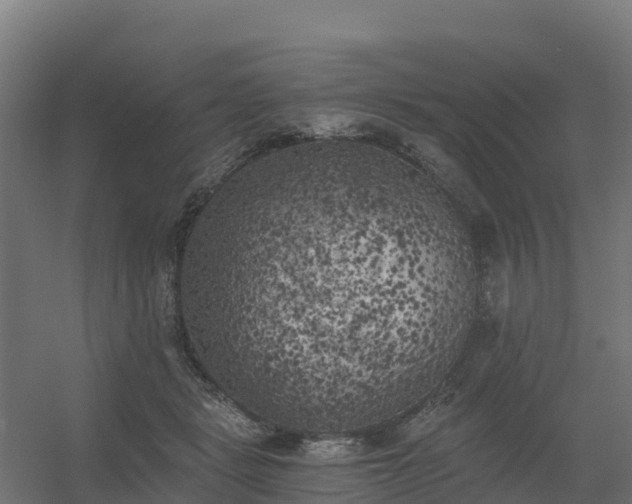 X0000056340461200509021700
