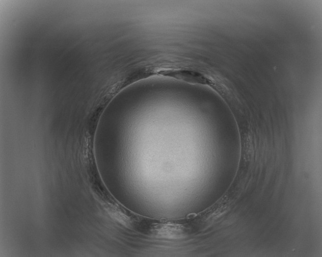 X0000056340463200509021700