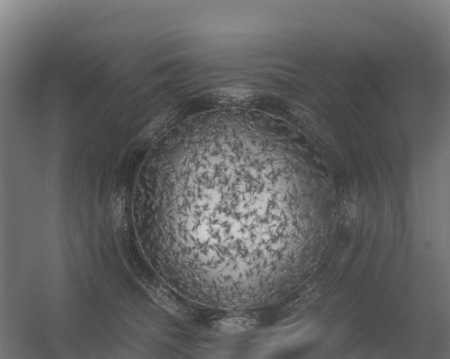 X0000056340468200509021700