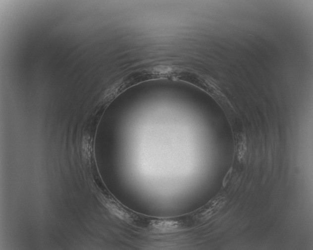 X0000056340476200509021700