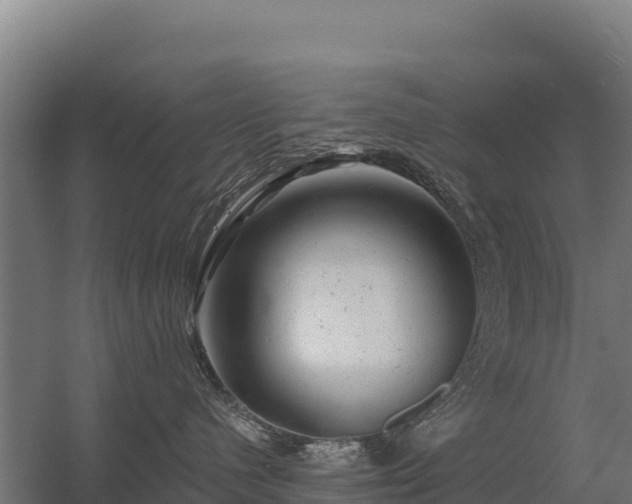 X0000056340480200509021700