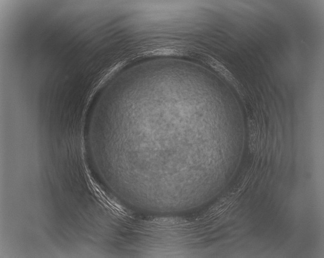 X0000056340482200509021659