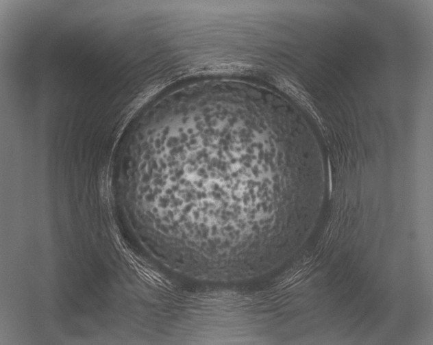 X0000056340483200509021659