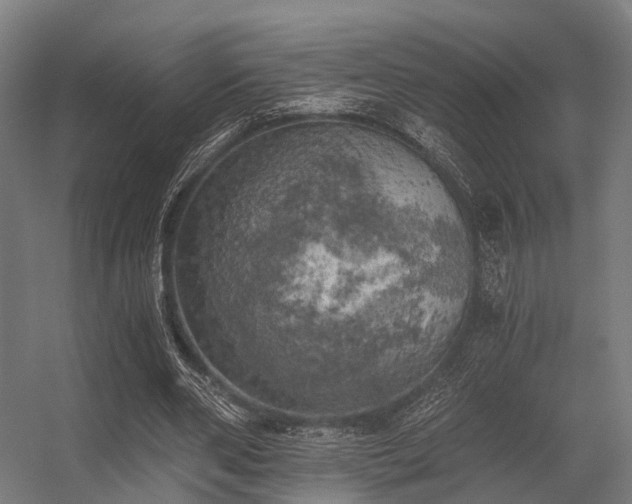 X0000056340486200509021659