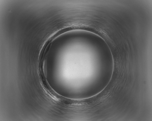 X0000056340488200509021659