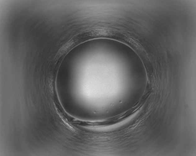 X0000056340489200509021659