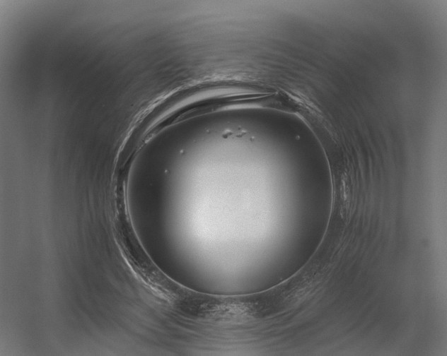 X0000056340492200509021659