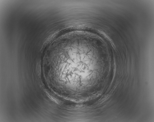 X0000056340493200509021659