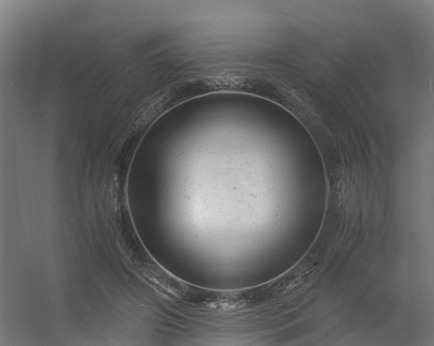 X0000056340498200509021659